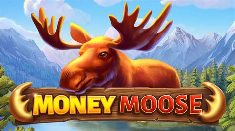 Money Moose 4